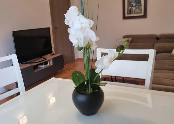 Cozy Next To Bus And Train Station Lejlighed Podgorica